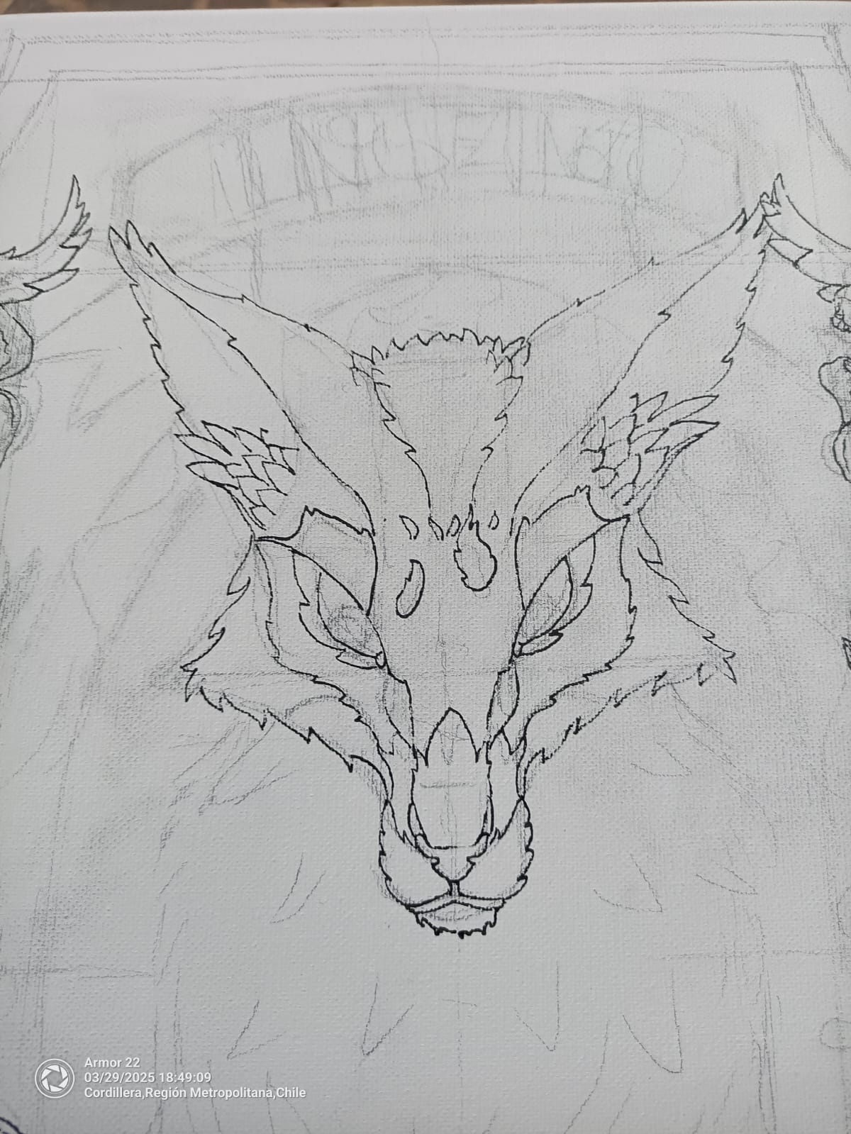 Ingenio - Zorrito Culpeo - Imagen 6