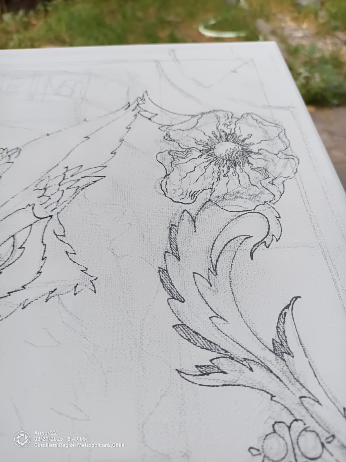 Ingenio - Zorrito Culpeo - Imagen 12