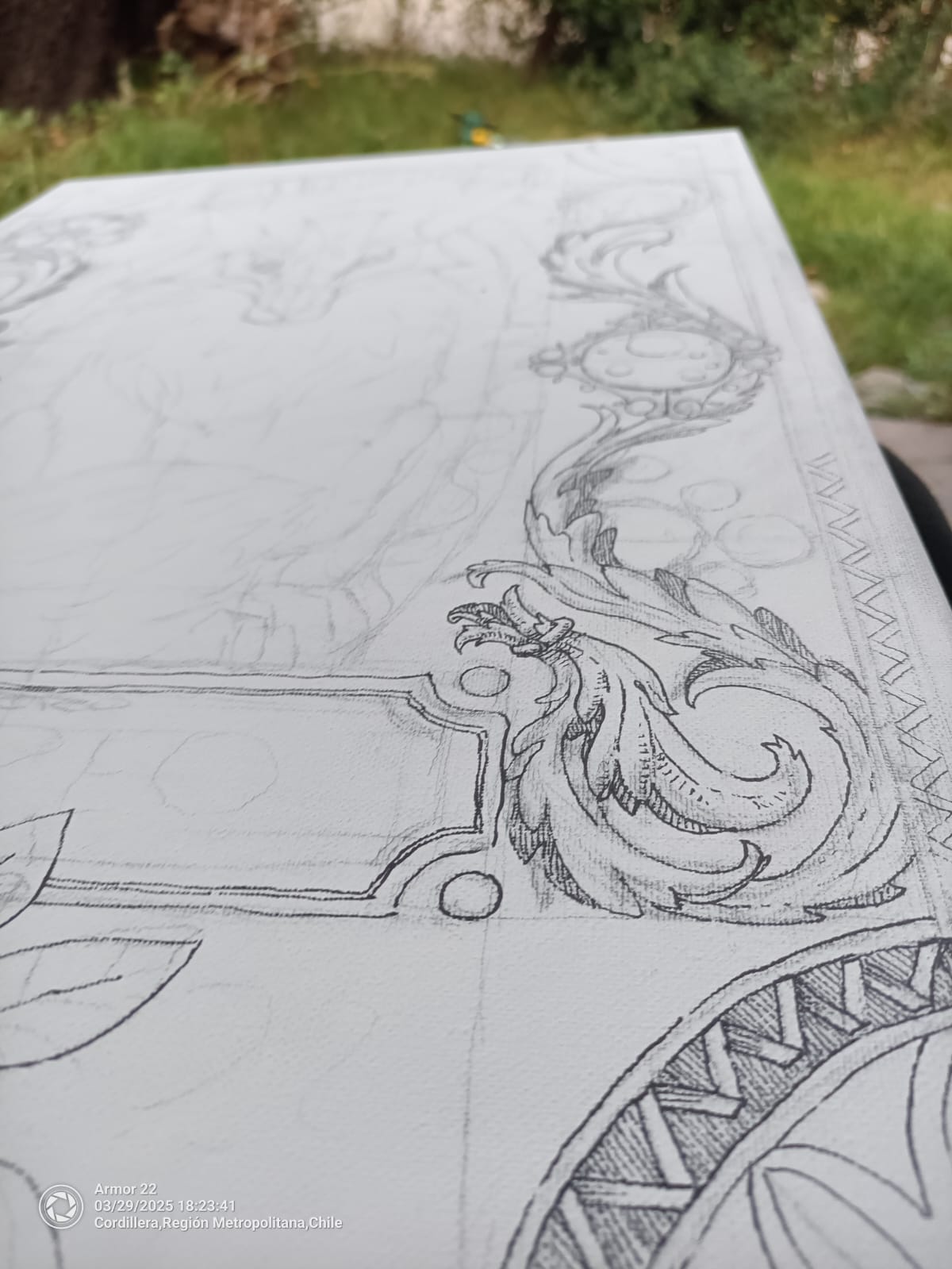 Ingenio - Zorrito Culpeo - Imagen 8