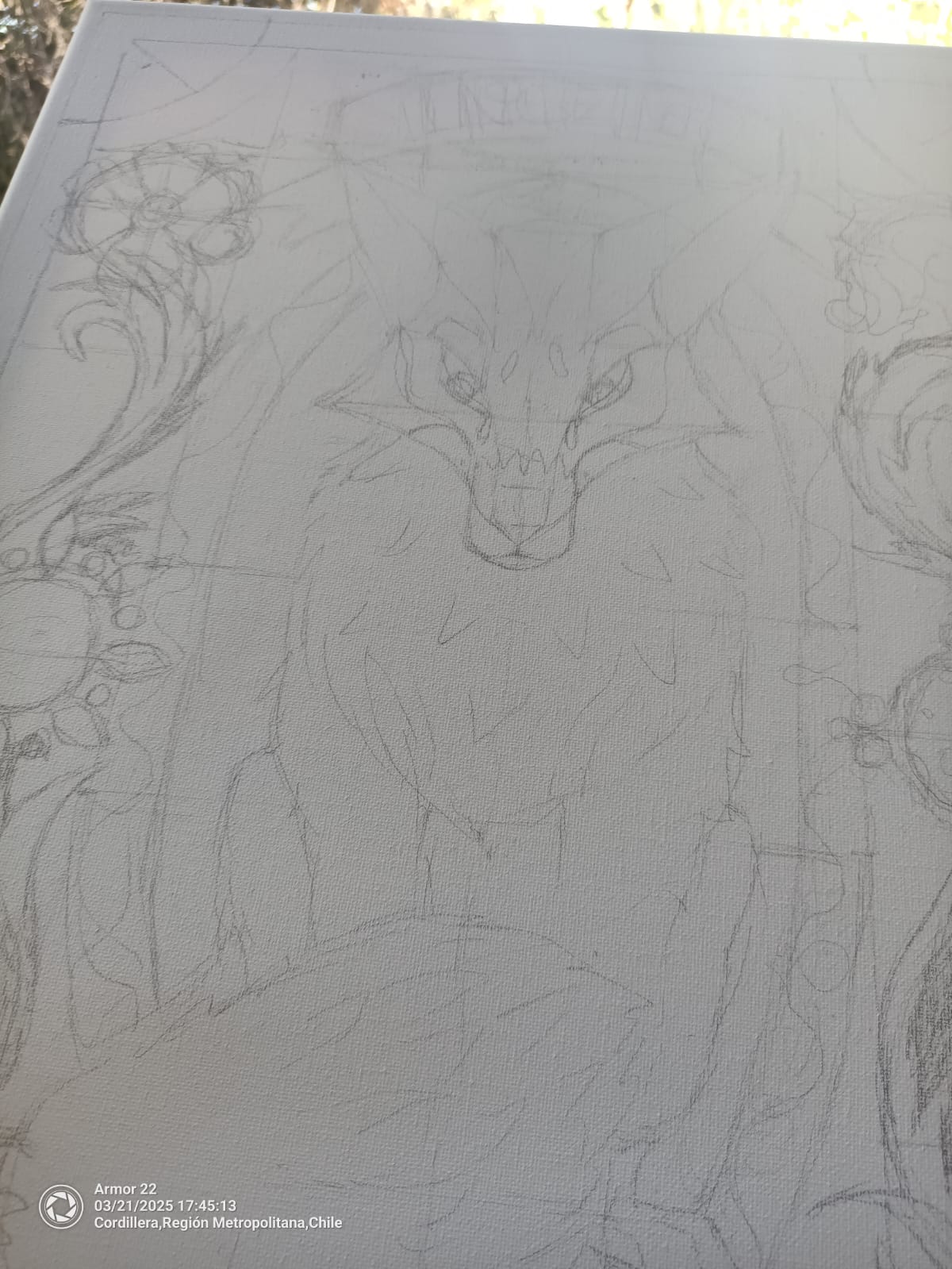 Ingenio - Zorrito Culpeo - Imagen 13