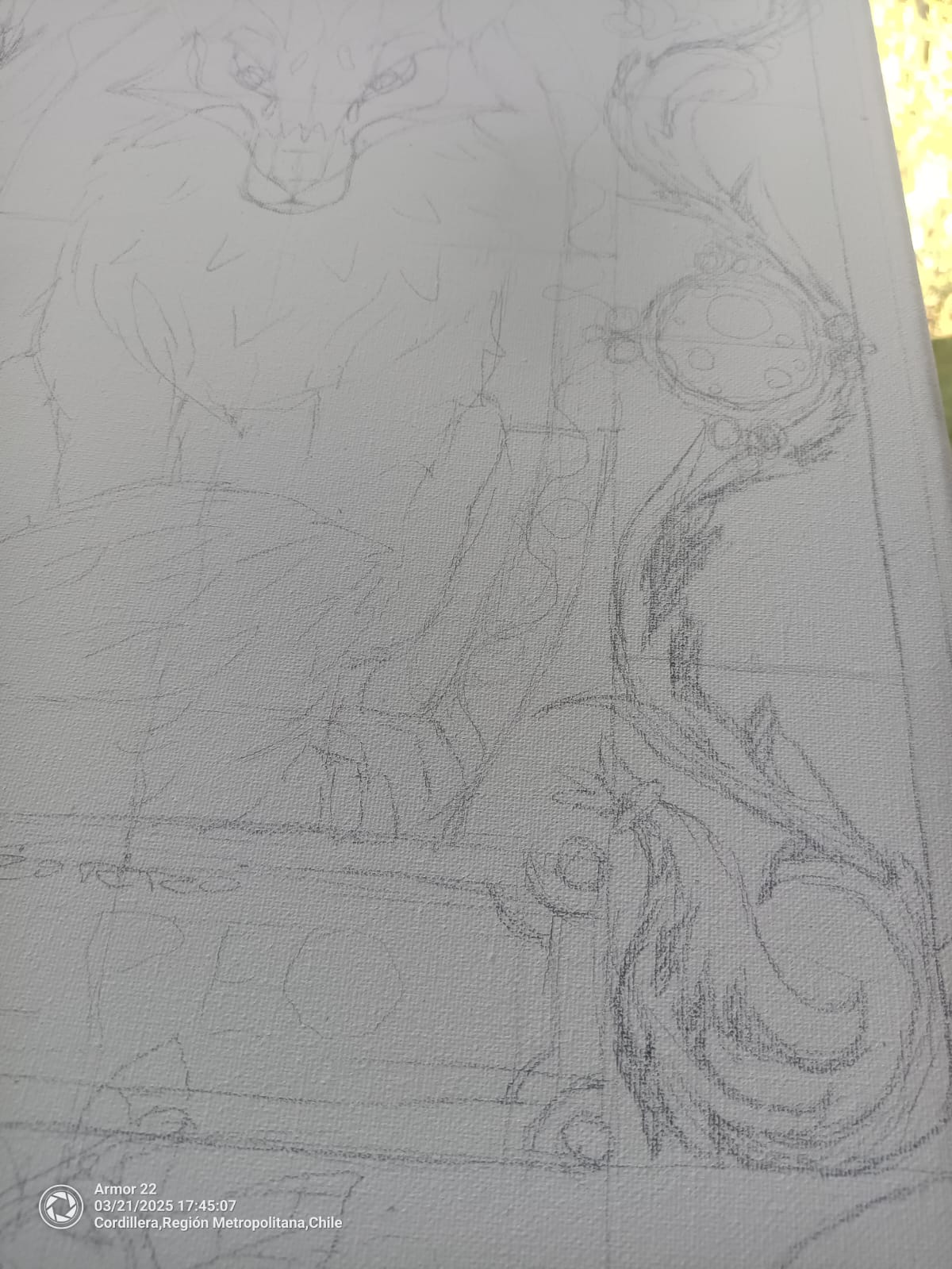 Ingenio - Zorrito Culpeo - Imagen 9