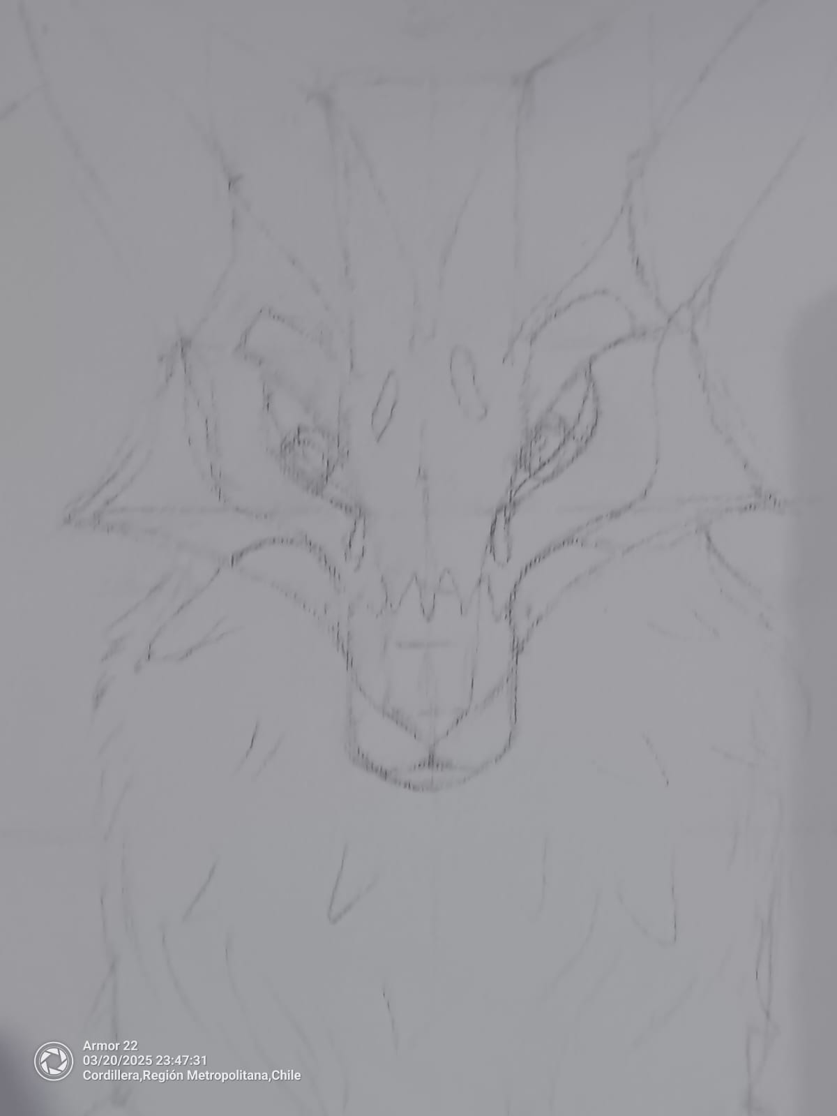 Ingenio - Zorrito Culpeo - Imagen 14